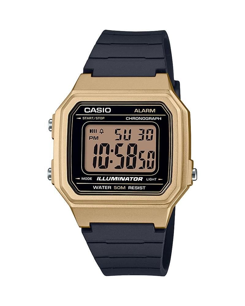 RELOJ CASIO W-217HM-9A